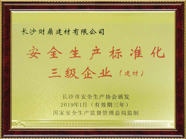 安全生產(chǎn)標準化三級企業(yè)